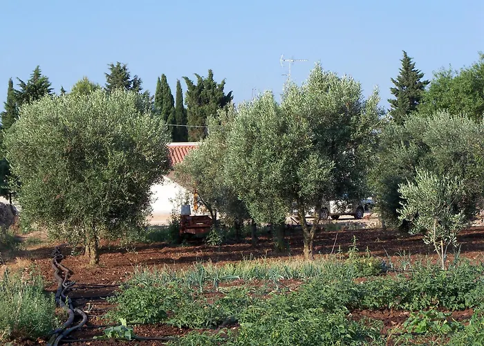 Agriturismo Il Pavone Torre Lapillo